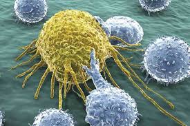 پاورپوینت (اسلاید) ایمونولوژی سرطان